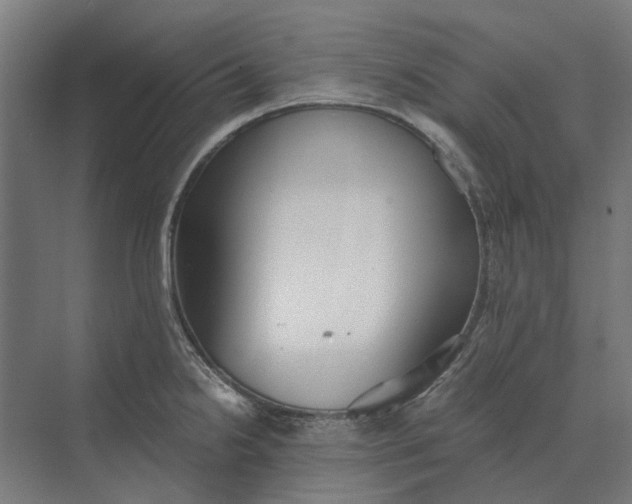 X0000069811238200606021457