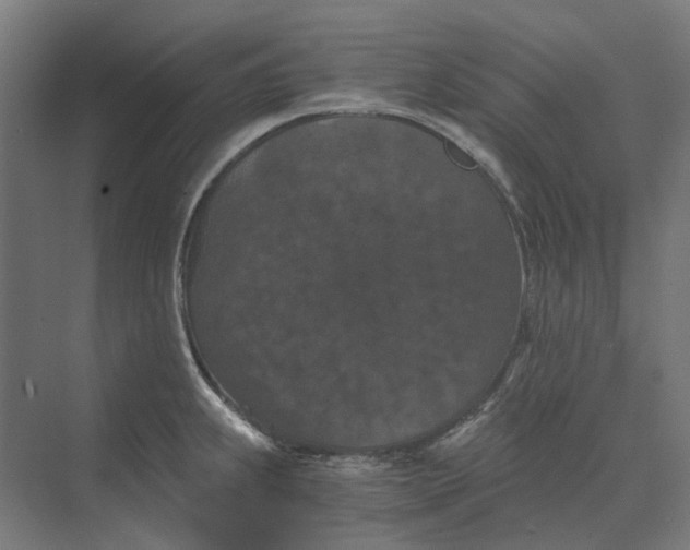 X0000069811239200606021457