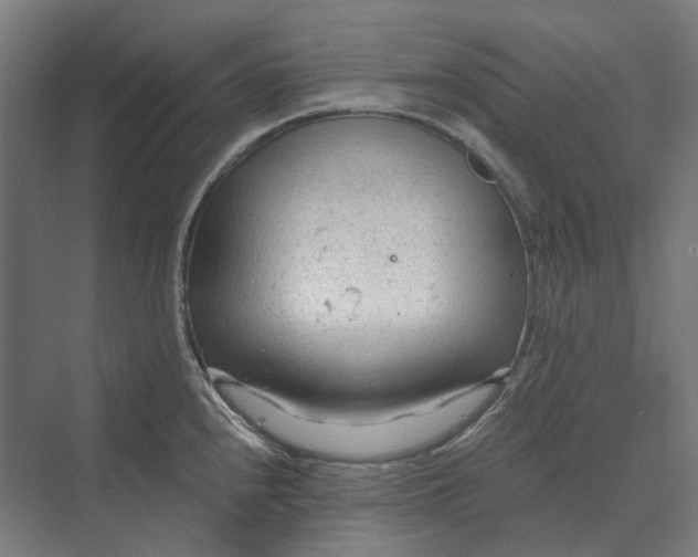 X0000069811240200606021457