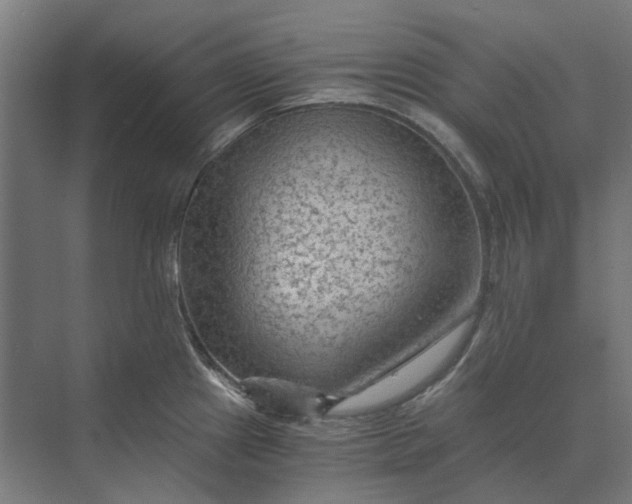 X0000069811241200606021457