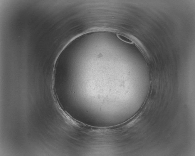 X0000069811244200606021457