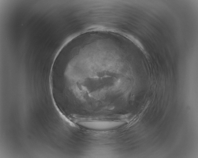 X0000069811247200606021457