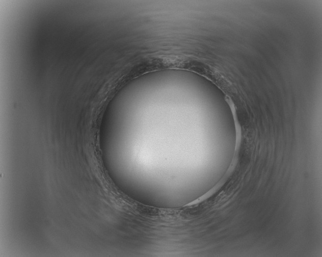 X0000069811249200606021456