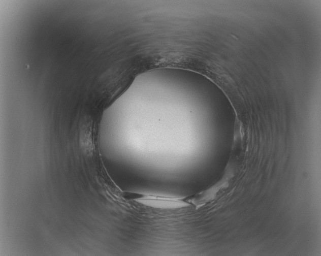 X0000069811250200606021456