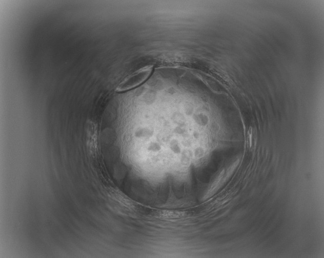 X0000069811251200606021456