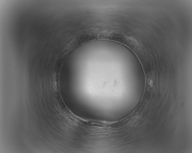 X0000069811252200606021456