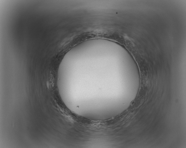 X0000069811253200606021456