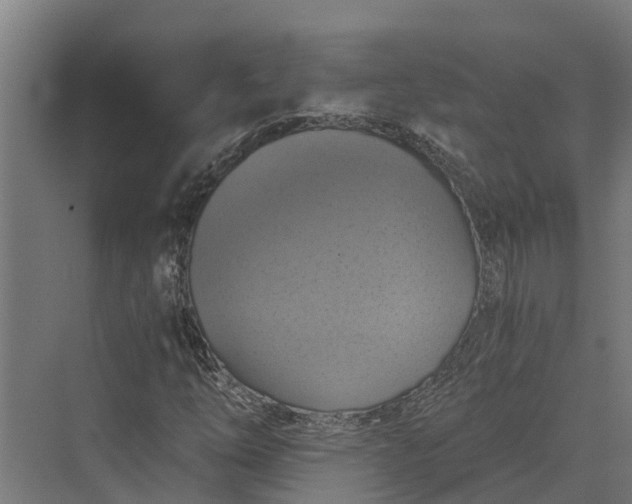 X0000069811254200606021456