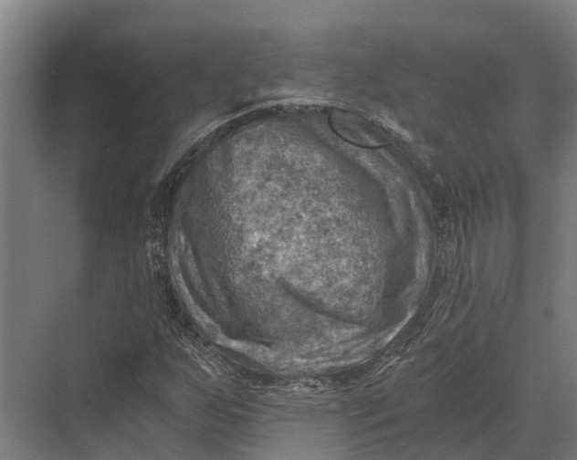 X0000069811255200606021456