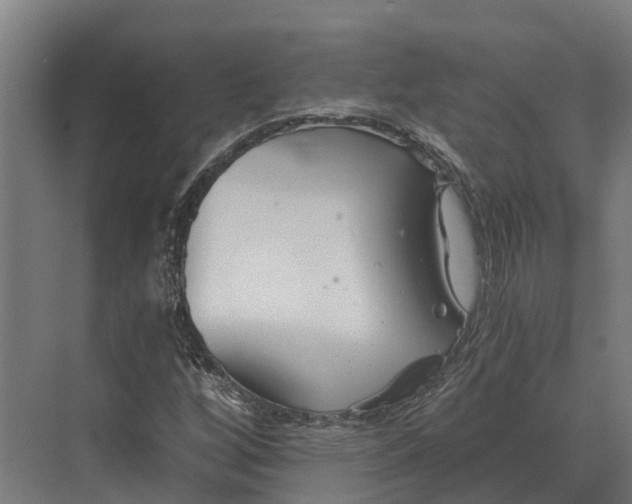 X0000069811256200606021456