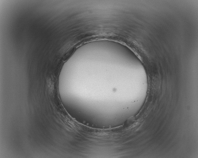 X0000069811257200606021456