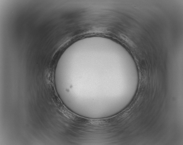 X0000069811258200606021456