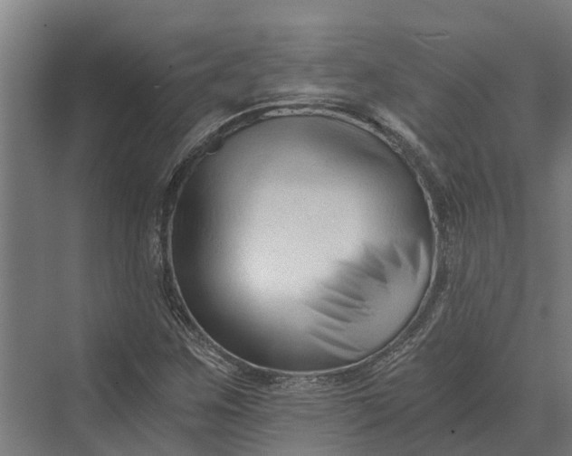 X0000069811259200606021456