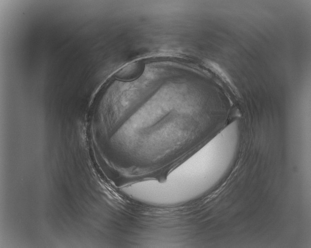 X0000069811260200606021456