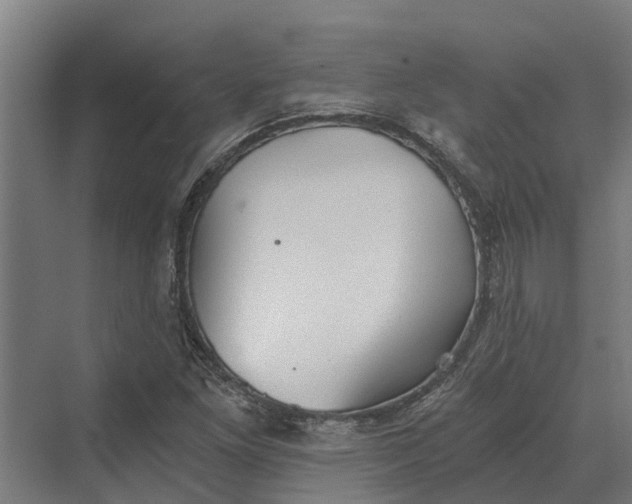 X0000069811261200606021456