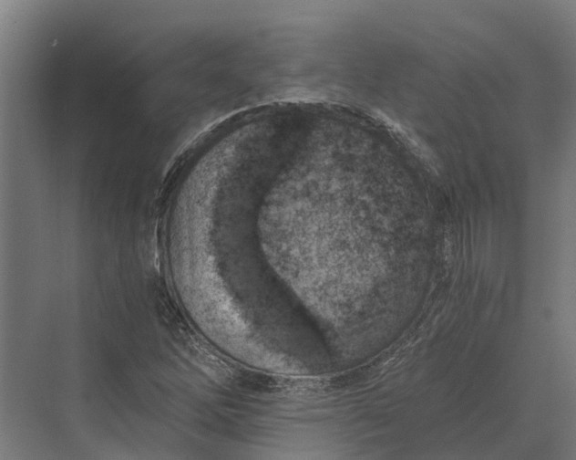 X0000069811262200606021456