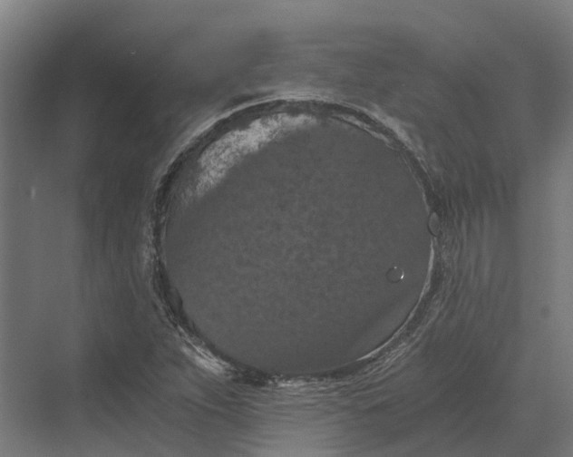 X0000069811263200606021456