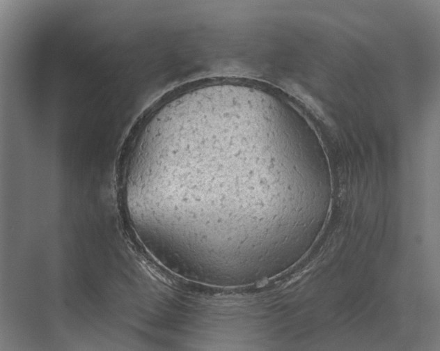 X0000069811264200606021456