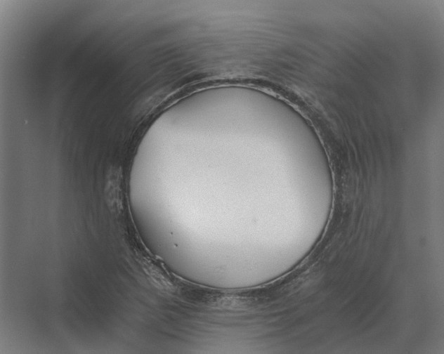 X0000069811265200606021456