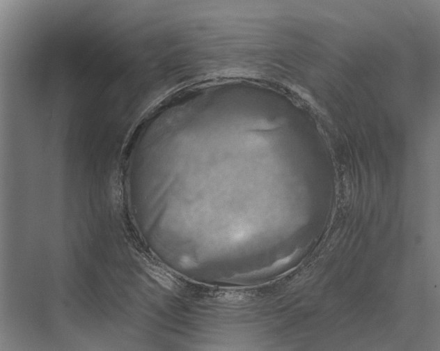 X0000069811266200606021456