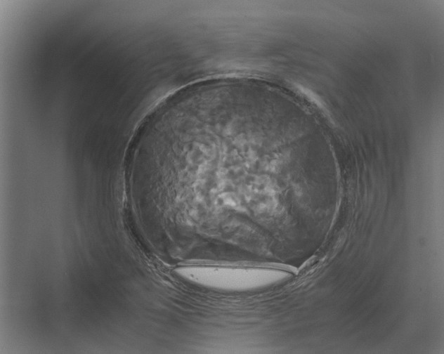 X0000069811267200606021456