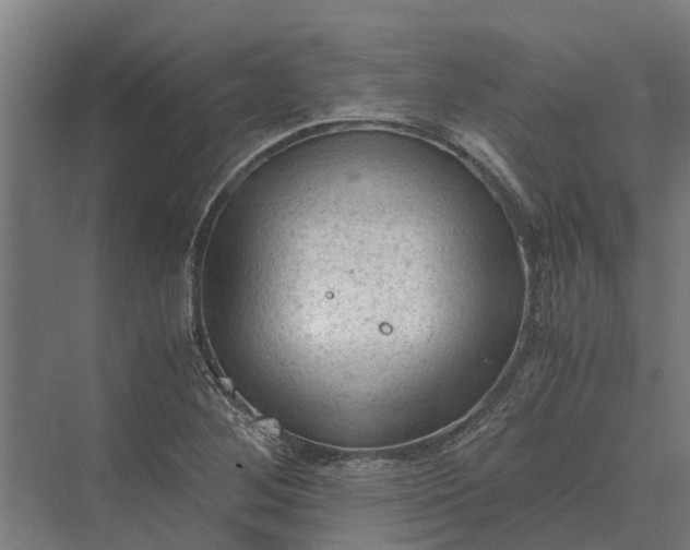 X0000069811268200606021456