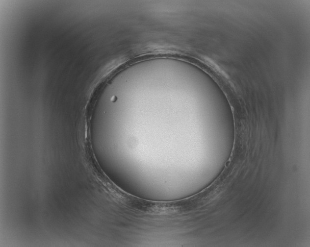 X0000069811269200606021456