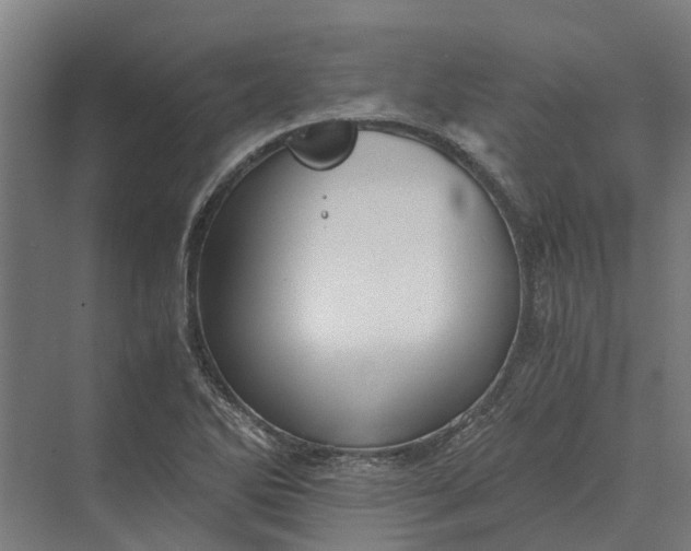 X0000069811270200606021456