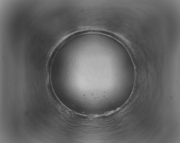 X0000069811271200606021456