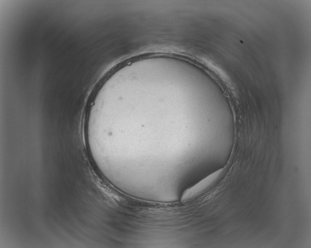 X0000069811272200606021456