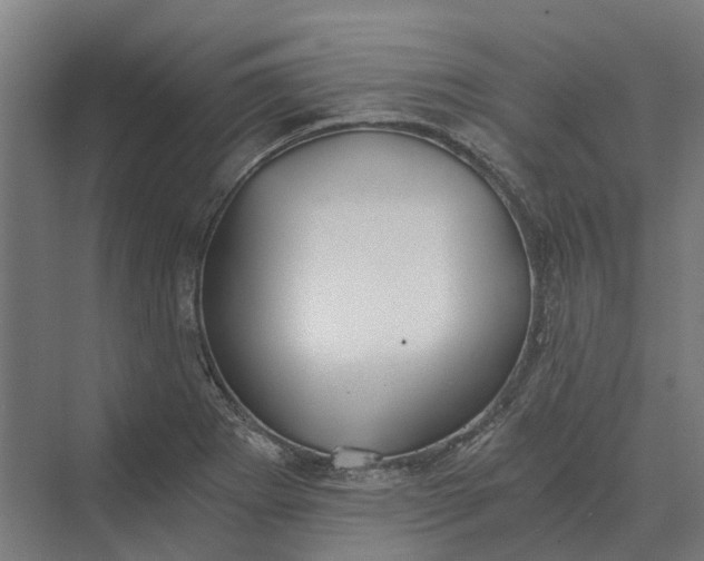 X0000069811273200606021456