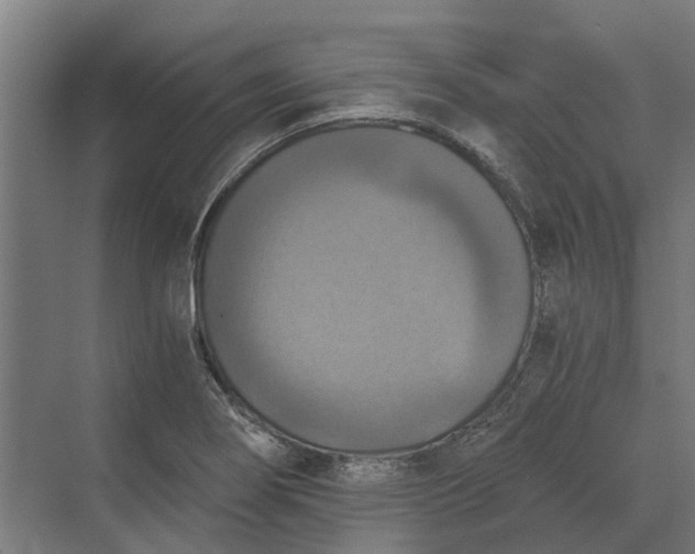 X0000069811274200606021456