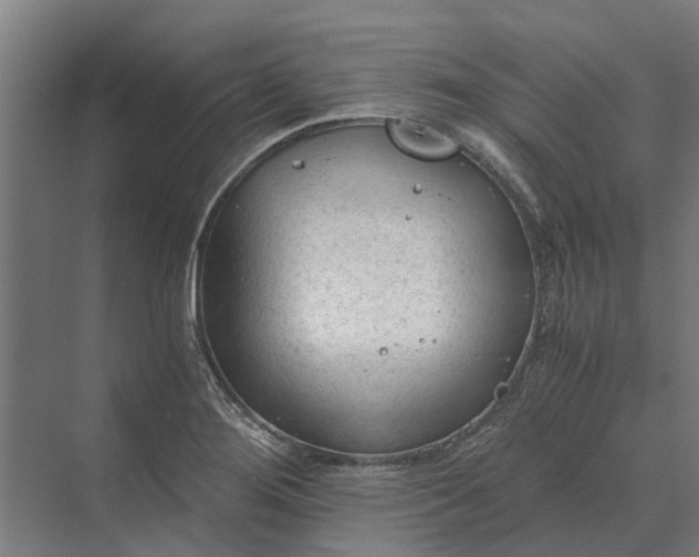 X0000069811276200606021456