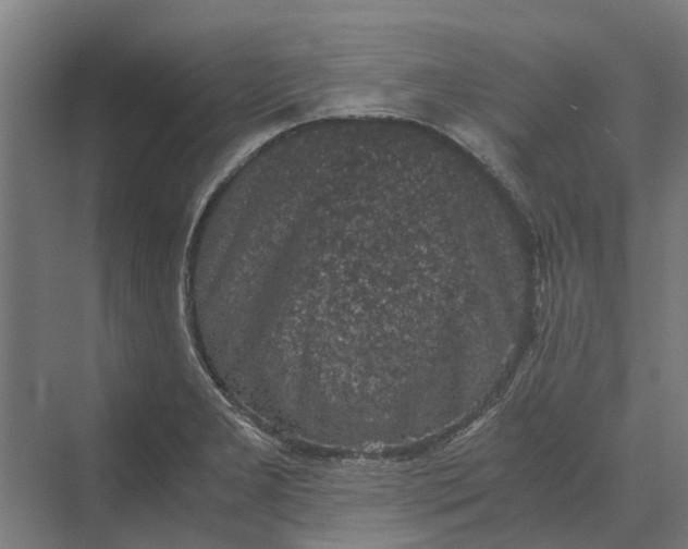 X0000069811277200606021456