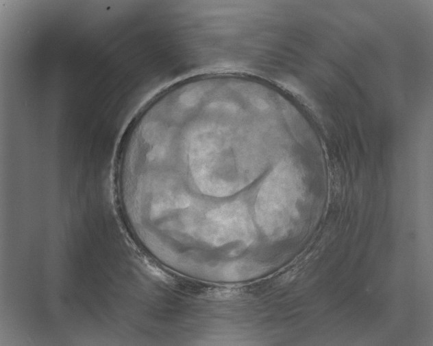 X0000069811278200606021456