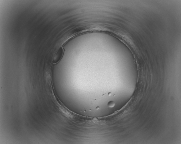 X0000069811281200606021456