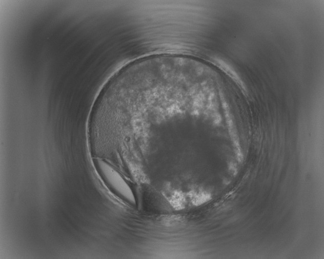 X0000069811283200606021455