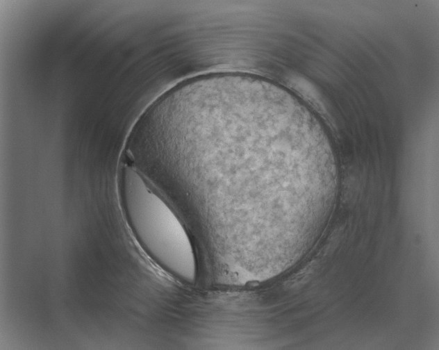 X0000069811284200606021455