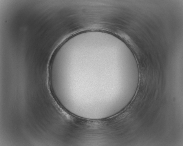 X0000069811286200606021455