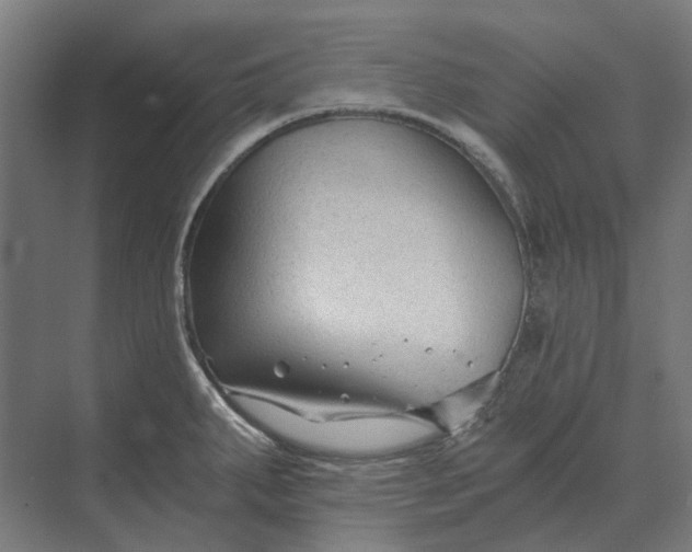 X0000069811287200606021455