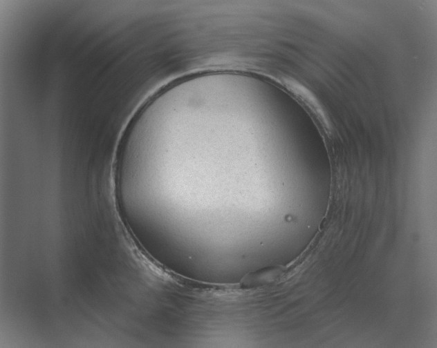 X0000069811288200606021455