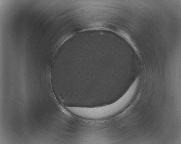 X0000069811289200606021455