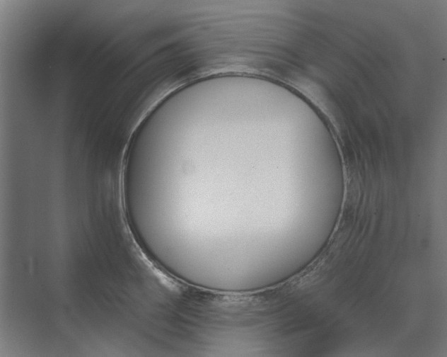 X0000069811290200606021455