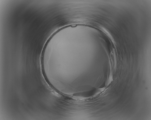 X0000069811291200606021455