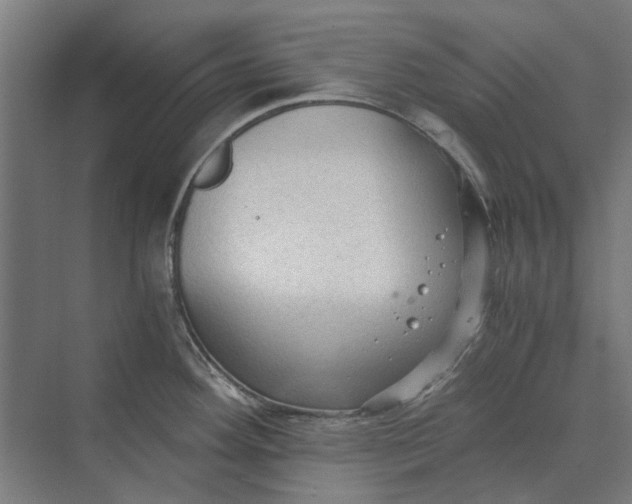 X0000069811292200606021455