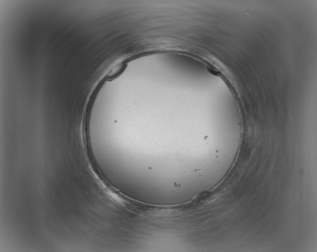 X0000069811293200606021455