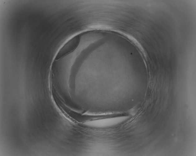 X0000069811295200606021455