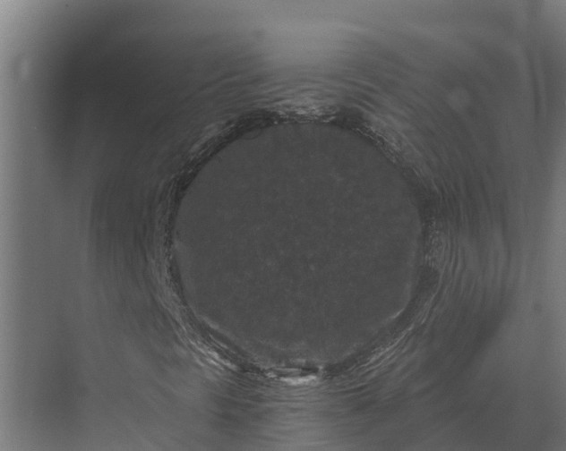 X0000069811297200606021454