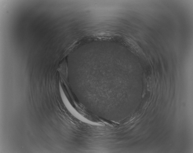 X0000069811298200606021454