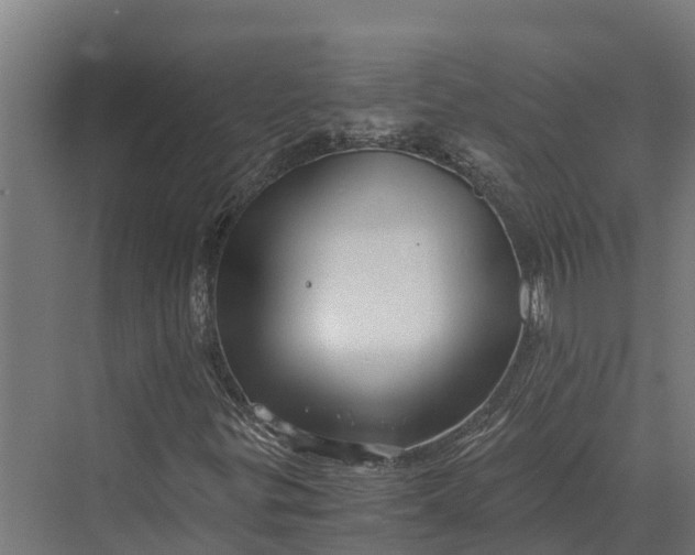 X0000069811299200606021454